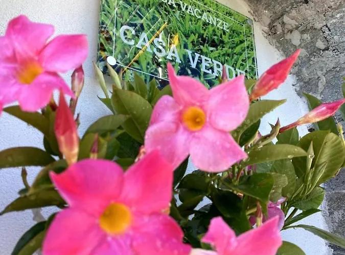 Casa Verde, Dongo, Di